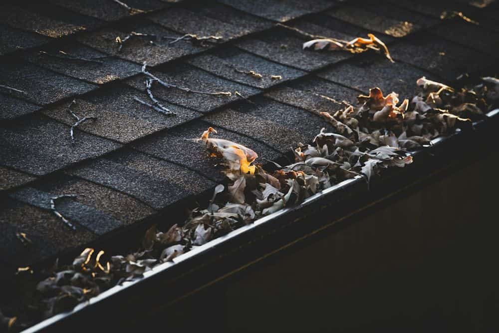 A gutter filled with fallen leaves along the edge of a roof